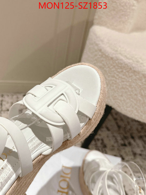 Women Shoes-Dior how to start selling replica ID: SZ1853 $: 125USD