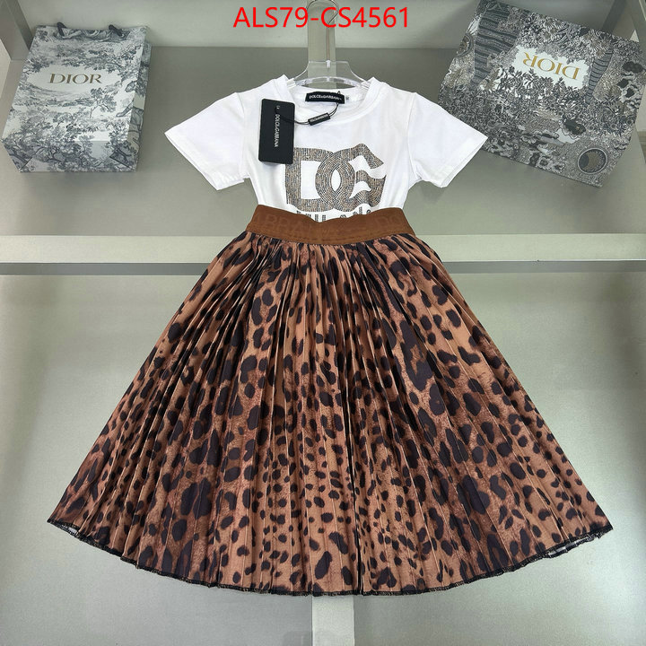 ID: CS4561
