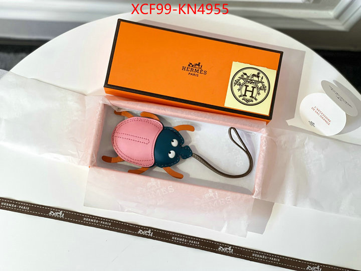 ID: KN4955