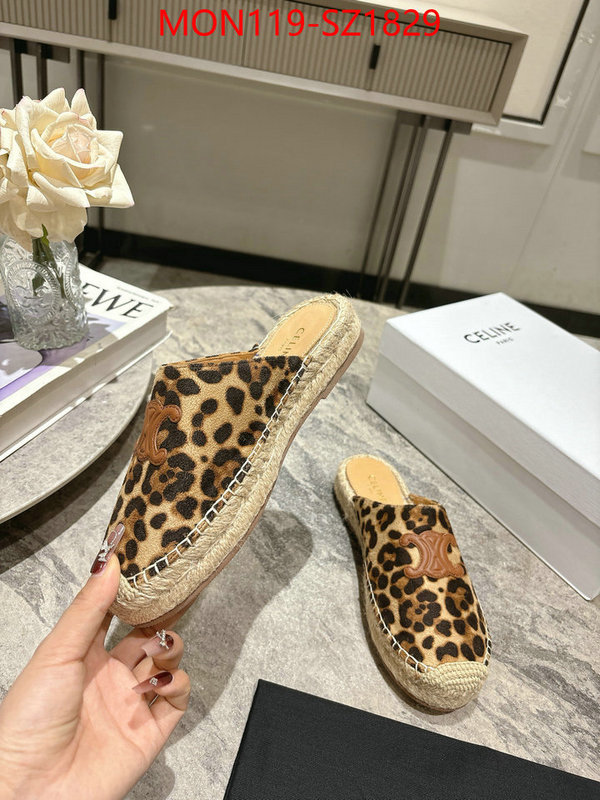 Women Shoes-CELINE what are the best replica ID: SZ1829 $: 119USD