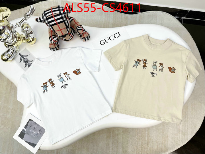 ID: CS4611