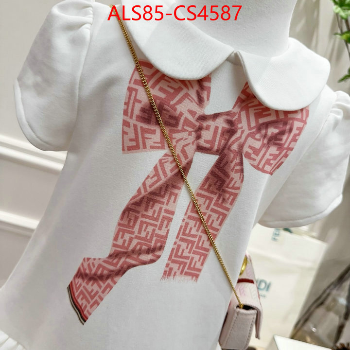 ID: CS4587
