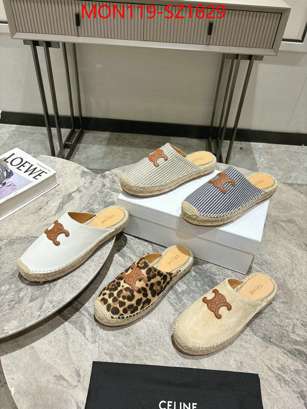 Women Shoes-CELINE what are the best replica ID: SZ1829 $: 119USD
