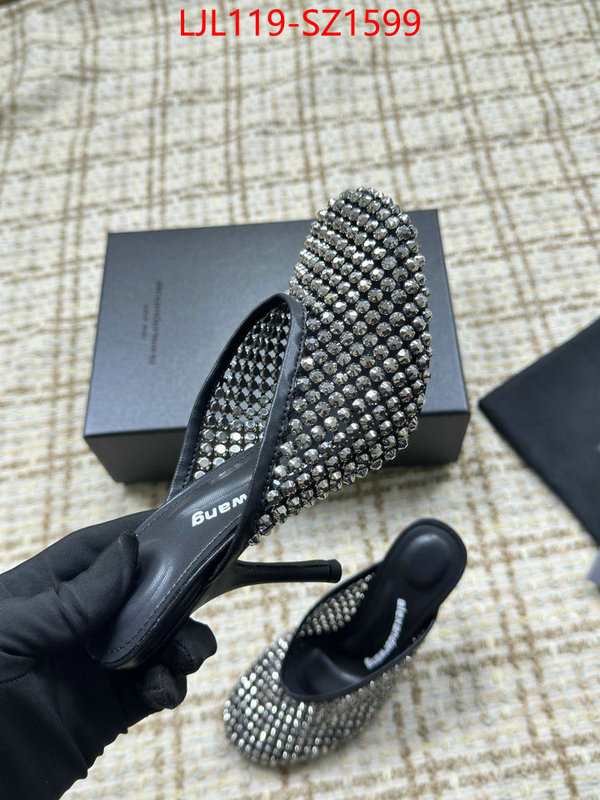Women Shoes-Alexander Wang what is top quality replica ID: SZ1599 $: 119USD