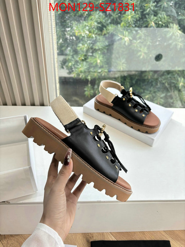 Women Shoes-CELINE supplier in china ID: SZ1831 $: 129USD