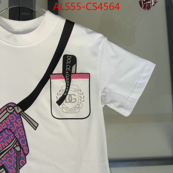 ID: CS4564