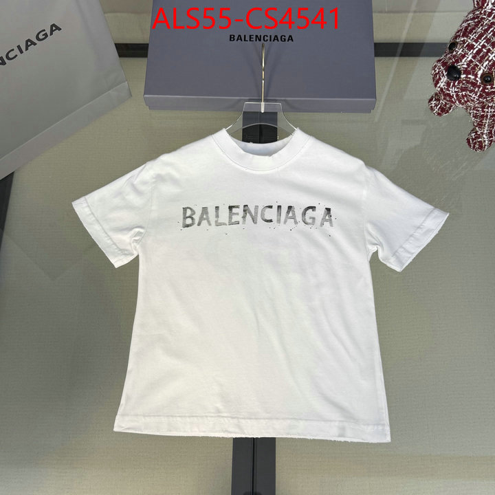 ID: CS4541