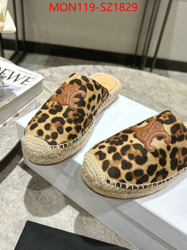 Women Shoes-CELINE what are the best replica ID: SZ1829 $: 119USD