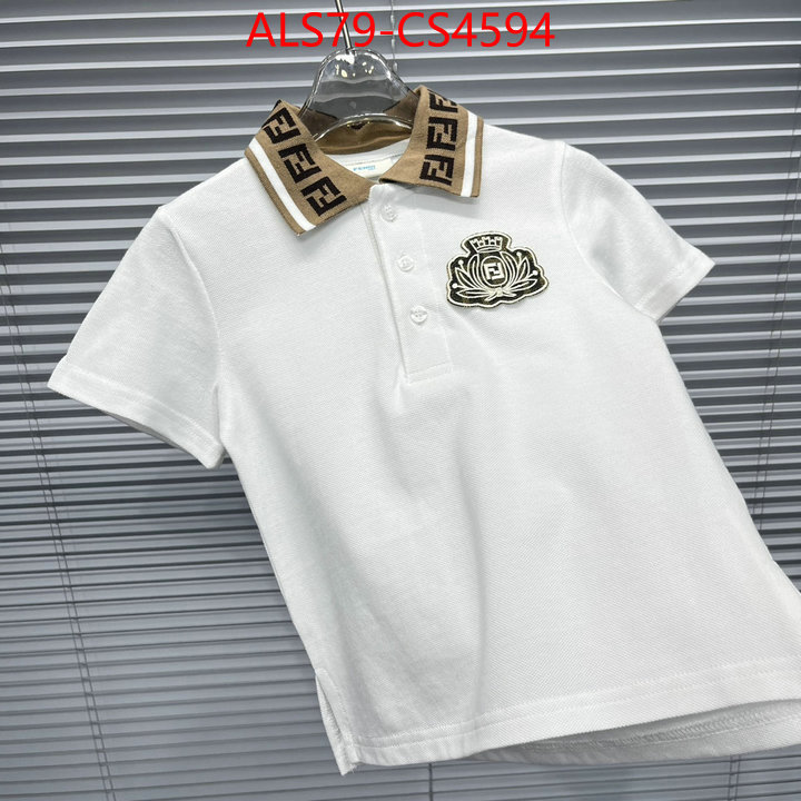 ID: CS4594