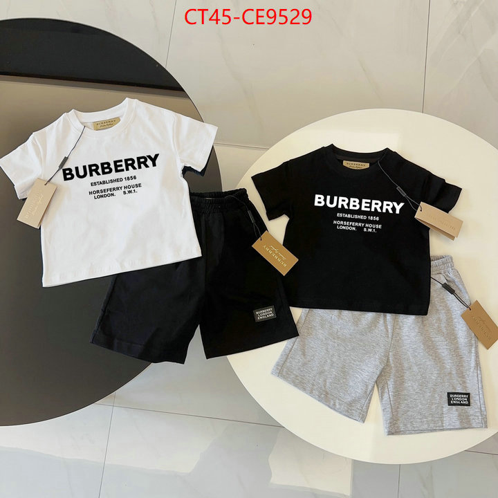 ID: CE9529