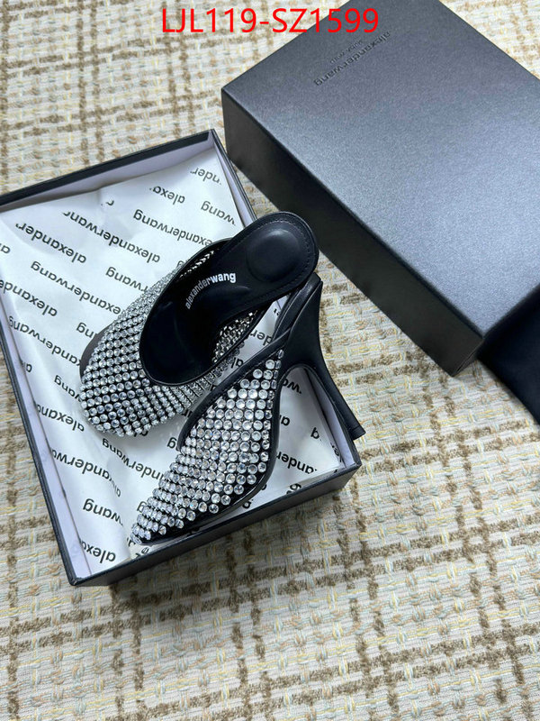 Women Shoes-Alexander Wang what is top quality replica ID: SZ1599 $: 119USD