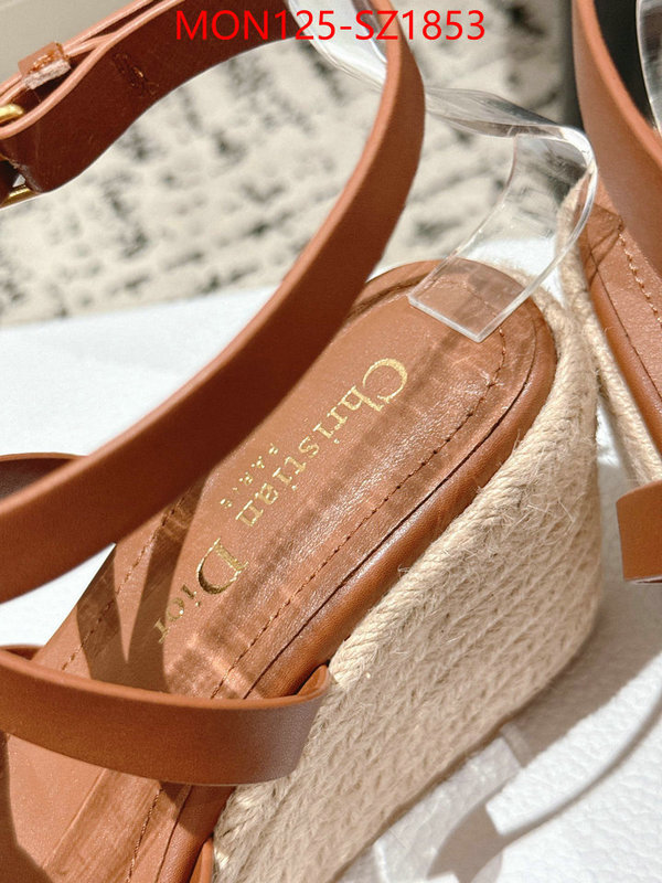 Women Shoes-Dior how to start selling replica ID: SZ1853 $: 125USD