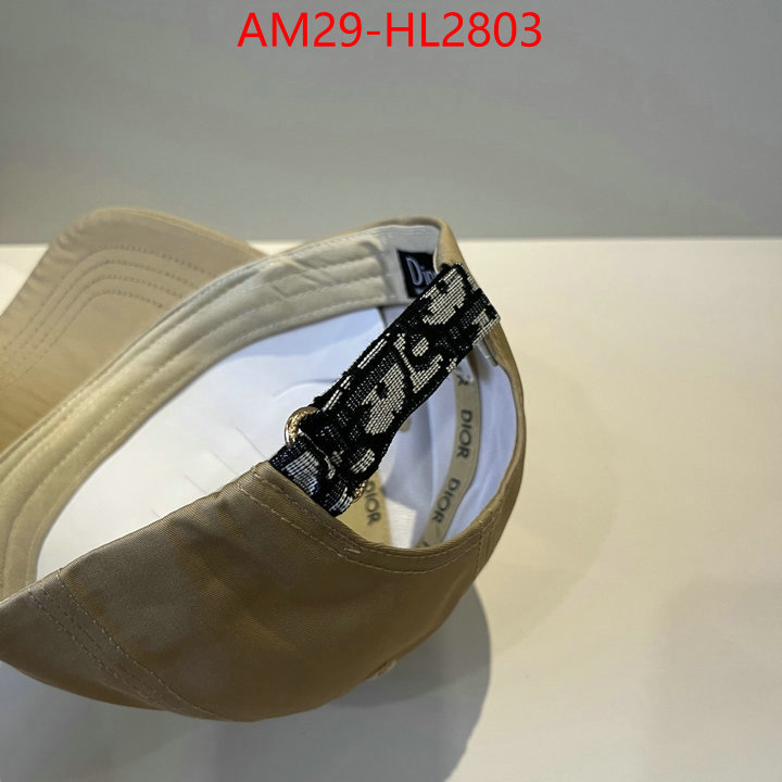 Cap (Hat)-Dior luxury fake ID: HL2803 $: 29USD