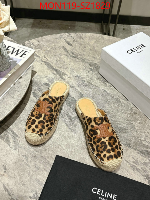Women Shoes-CELINE what are the best replica ID: SZ1829 $: 119USD