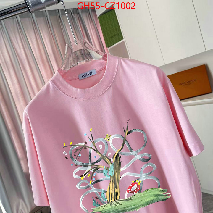 Clothing-Loewe designer 7 star replica ID: CZ1002 $: 55USD