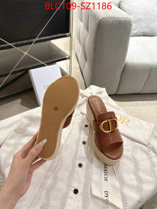 Women Shoes-Dior where to find the best replicas ID: SZ1186 $: 109USD