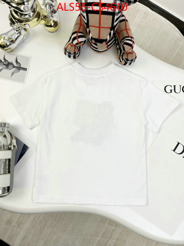 ID: CS4610