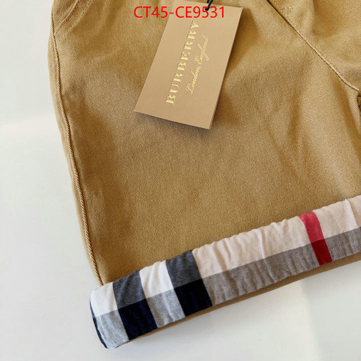 ID: CE9531