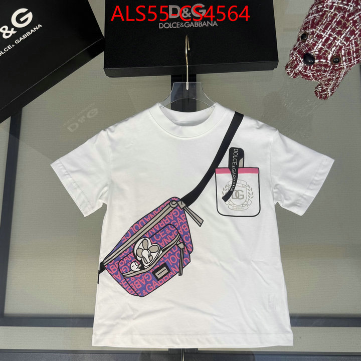 ID: CS4564