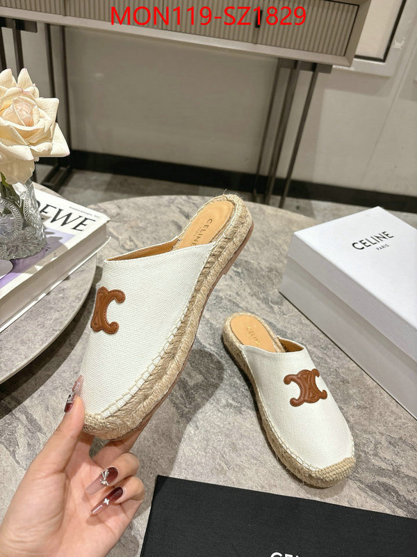 Women Shoes-CELINE what are the best replica ID: SZ1829 $: 119USD