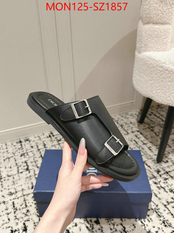 Men shoes-Dior top ID: SZ1857 $: 125USD