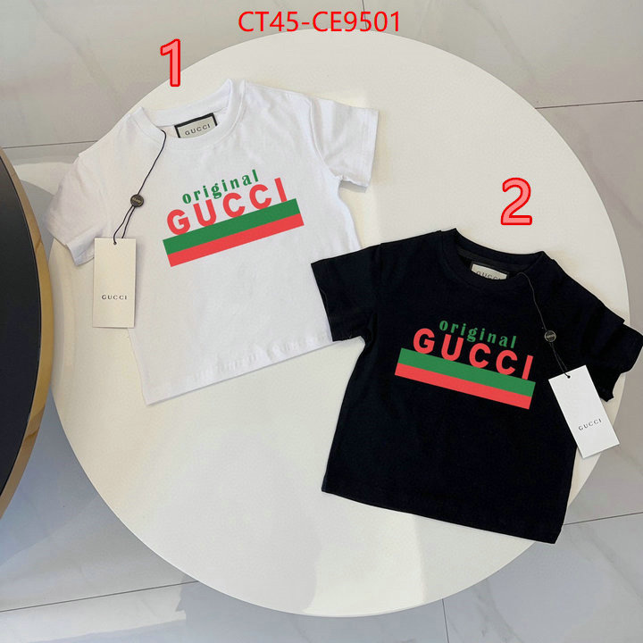 ID: CE9501