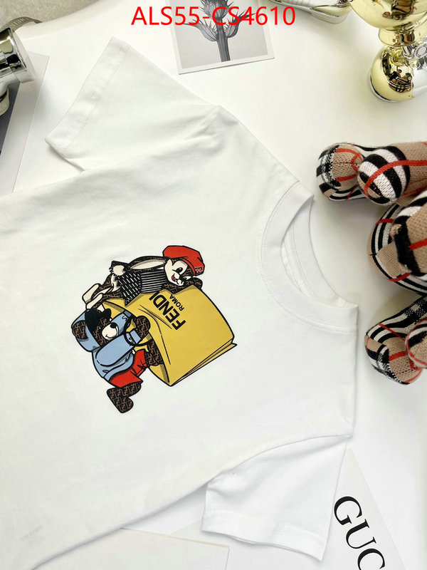 ID: CS4610