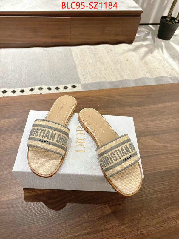 Women Shoes-Dior sell online luxury designer ID: SZ1184 $: 95USD