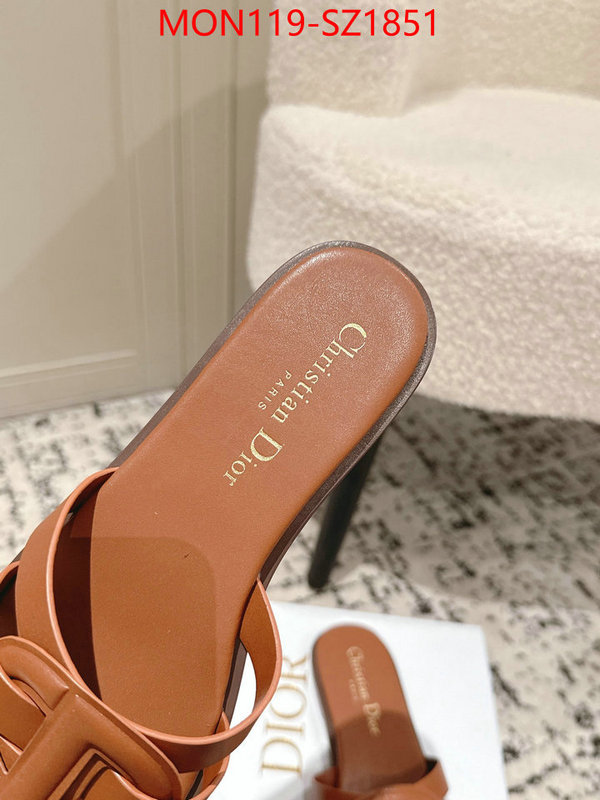 Women Shoes-Dior cheap replica designer ID: SZ1851 $: 119USD