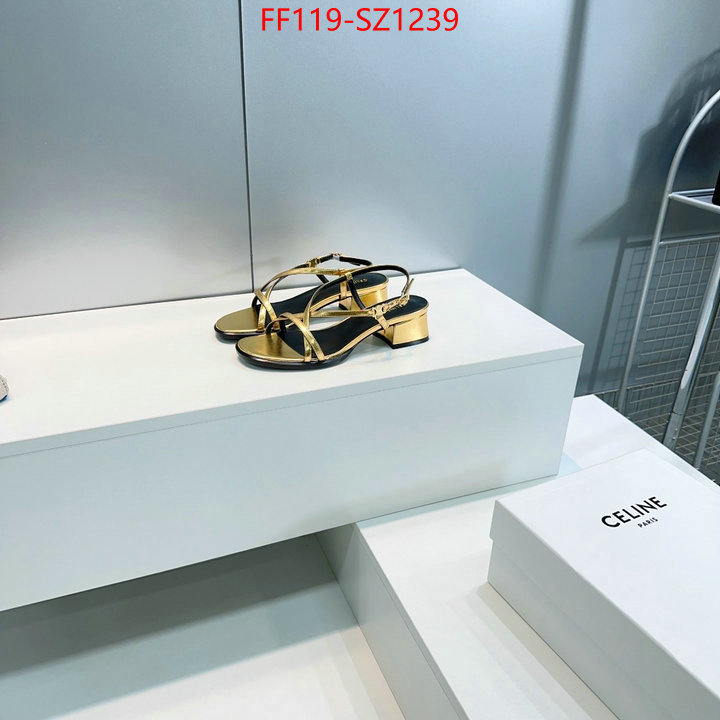 Women Shoes-CELINE aaaaa+ class replica ID: SZ1239 $: 119USD