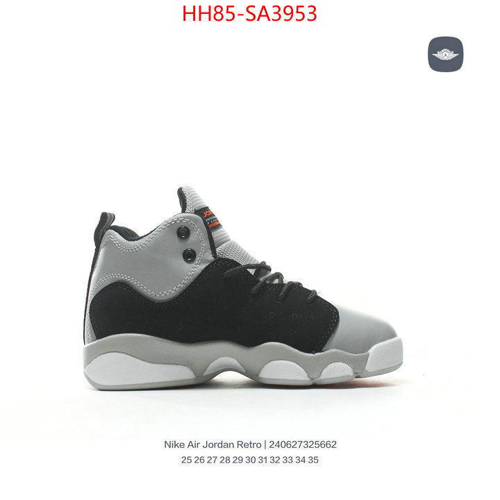 ID: SA3953