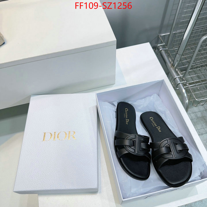 Women Shoes-Dior buying replica ID: SZ1256 $: 109USD