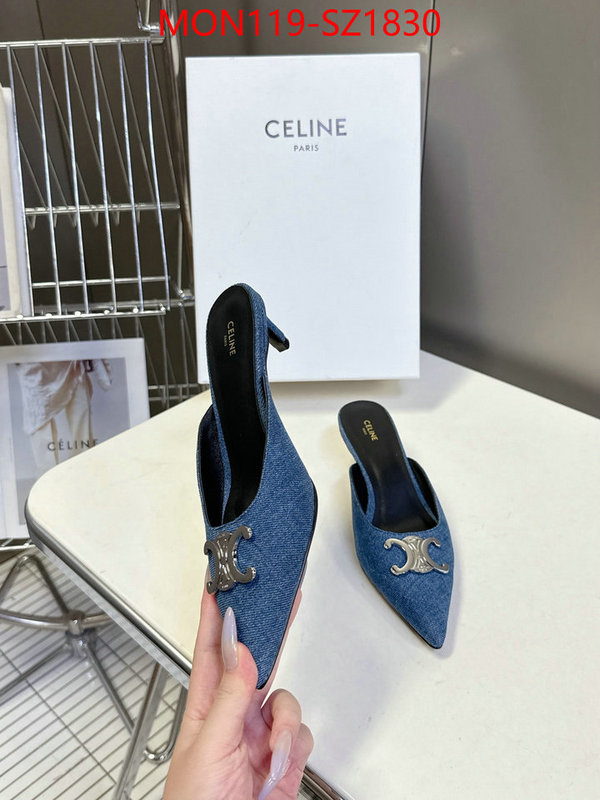 Women Shoes-CELINE sellers online ID: SZ1830 $: 119USD