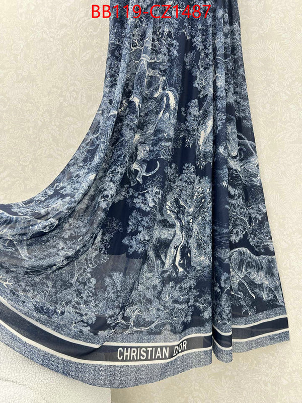 Clothing-Dior fashion designer ID: CZ1487 $: 119USD
