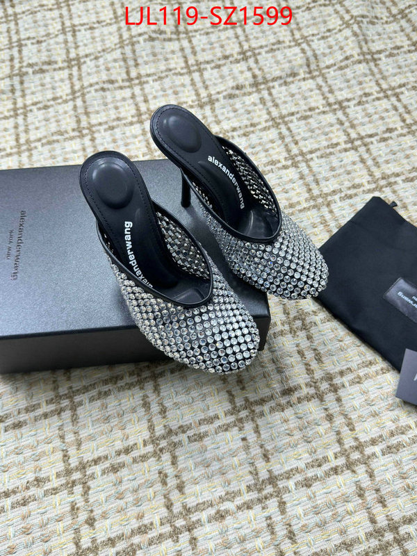 Women Shoes-Alexander Wang what is top quality replica ID: SZ1599 $: 119USD