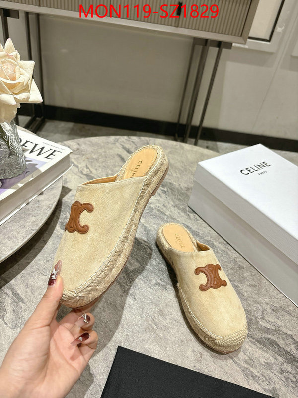 Women Shoes-CELINE what are the best replica ID: SZ1829 $: 119USD