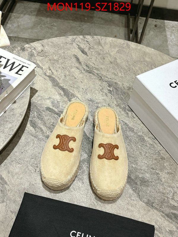 Women Shoes-CELINE what are the best replica ID: SZ1829 $: 119USD