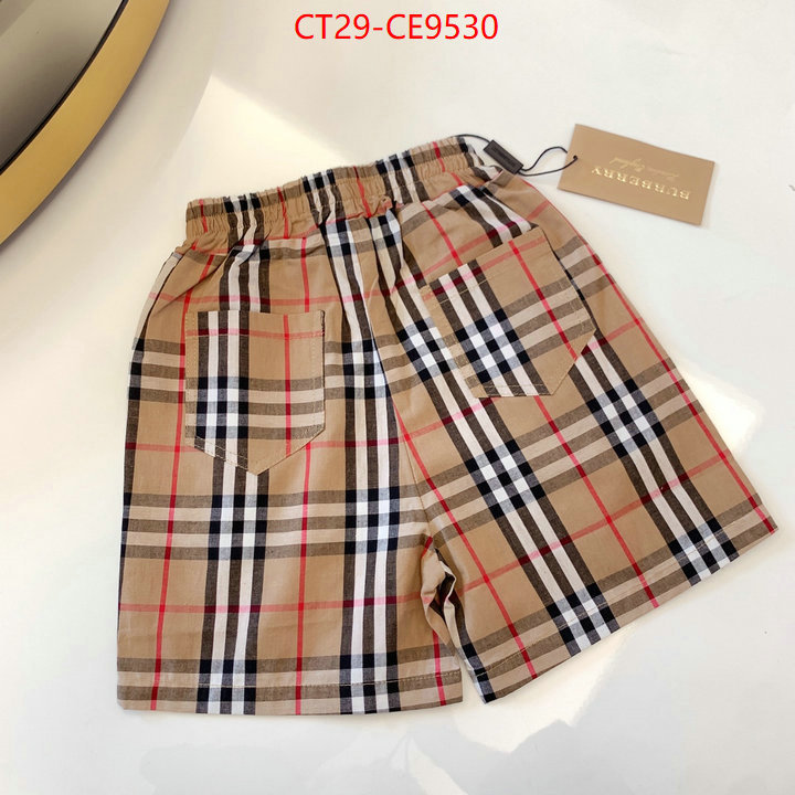 ID: CE9530