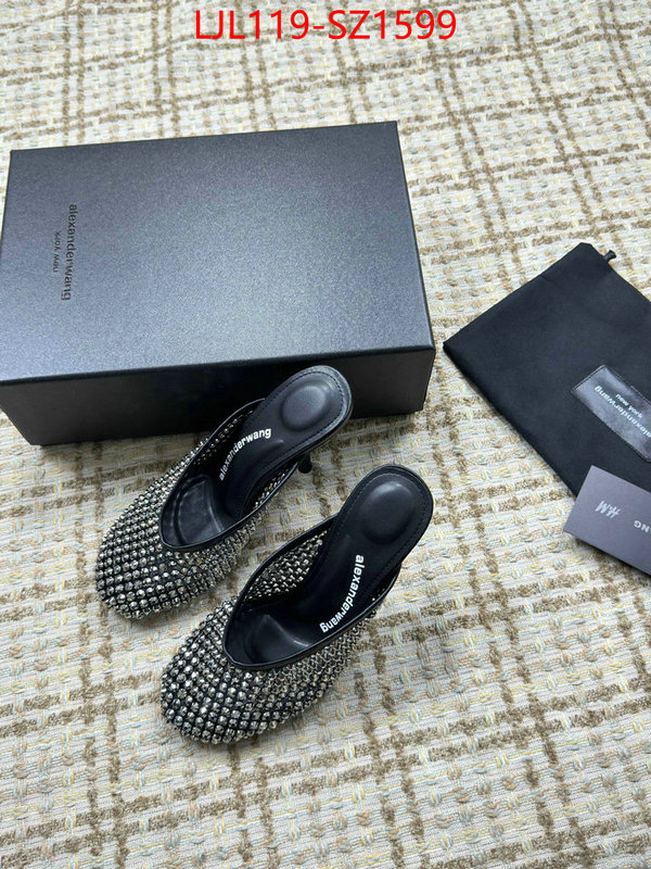 Women Shoes-Alexander Wang what is top quality replica ID: SZ1599 $: 119USD