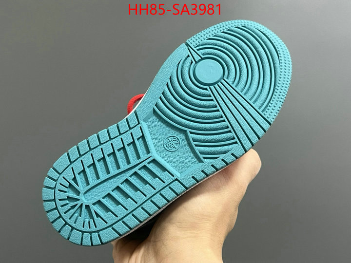 ID: SA3981