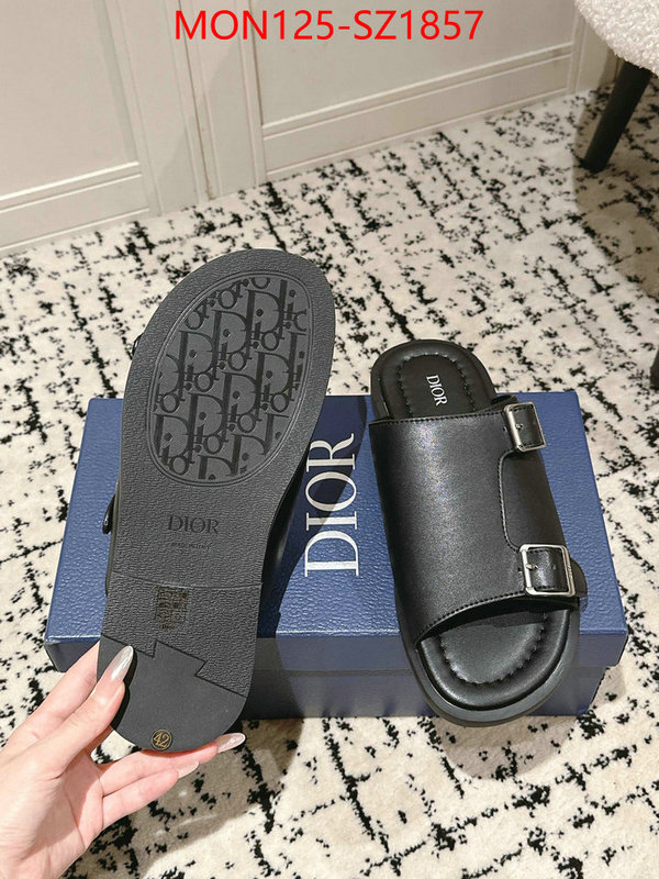 Men shoes-Dior top ID: SZ1857 $: 125USD
