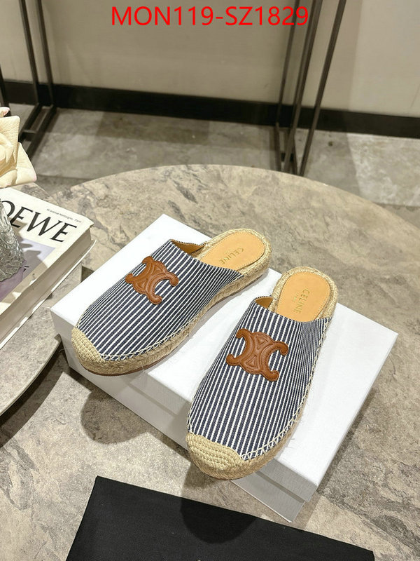Women Shoes-CELINE what are the best replica ID: SZ1829 $: 119USD