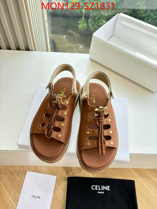 Women Shoes-CELINE supplier in china ID: SZ1831 $: 129USD