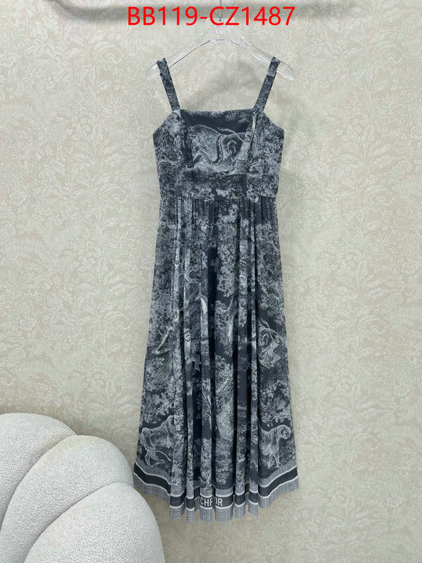Clothing-Dior fashion designer ID: CZ1487 $: 119USD