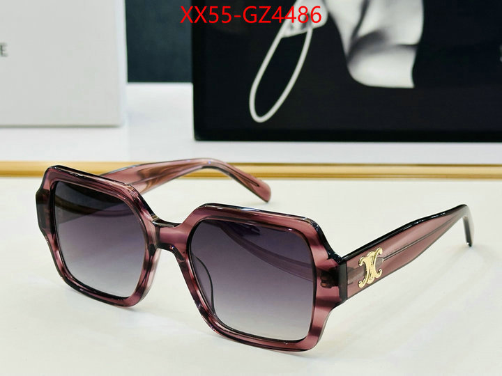Glasses-CELINE perfect ID: GZ4486 $: 55USD