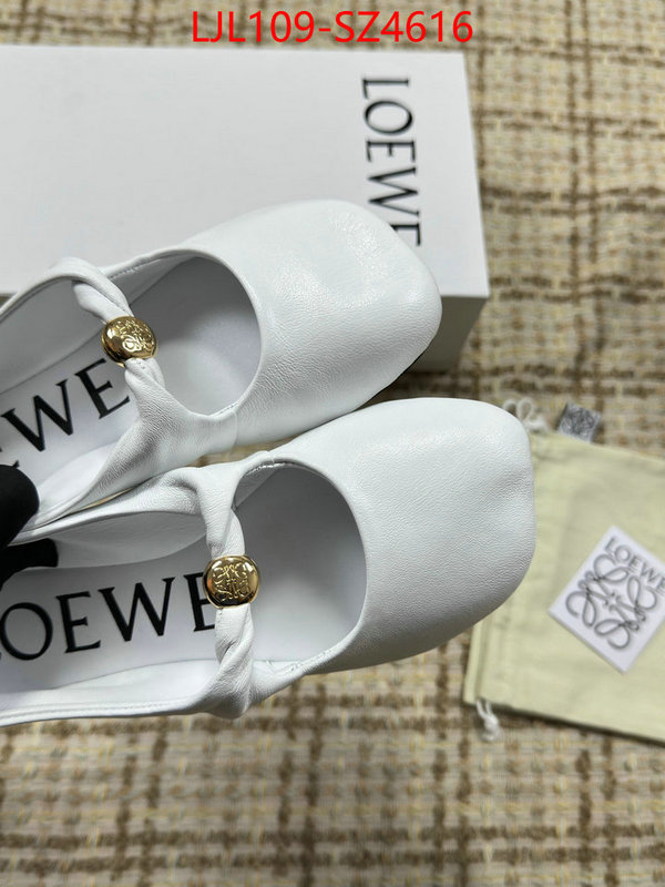Women Shoes-Loewe best ID: SZ4616 $: 109USD