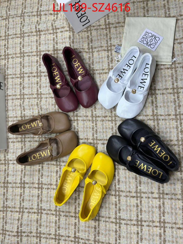 Women Shoes-Loewe best ID: SZ4616 $: 109USD