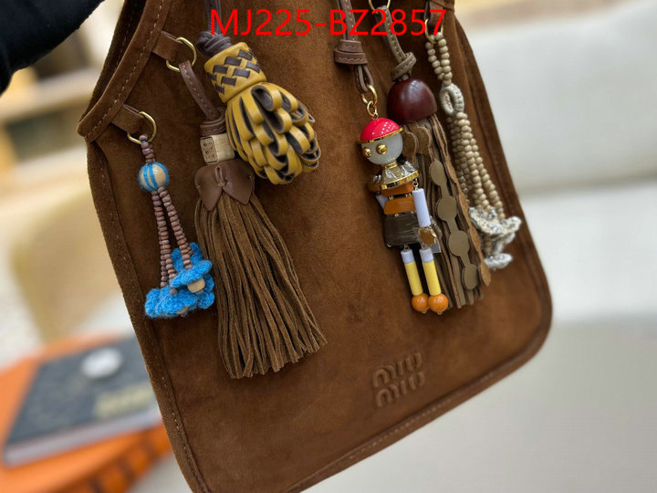 Miu Miu Bags(TOP)-Handbag- 7 star quality designer replica ID: BZ2857 $: 225USD,