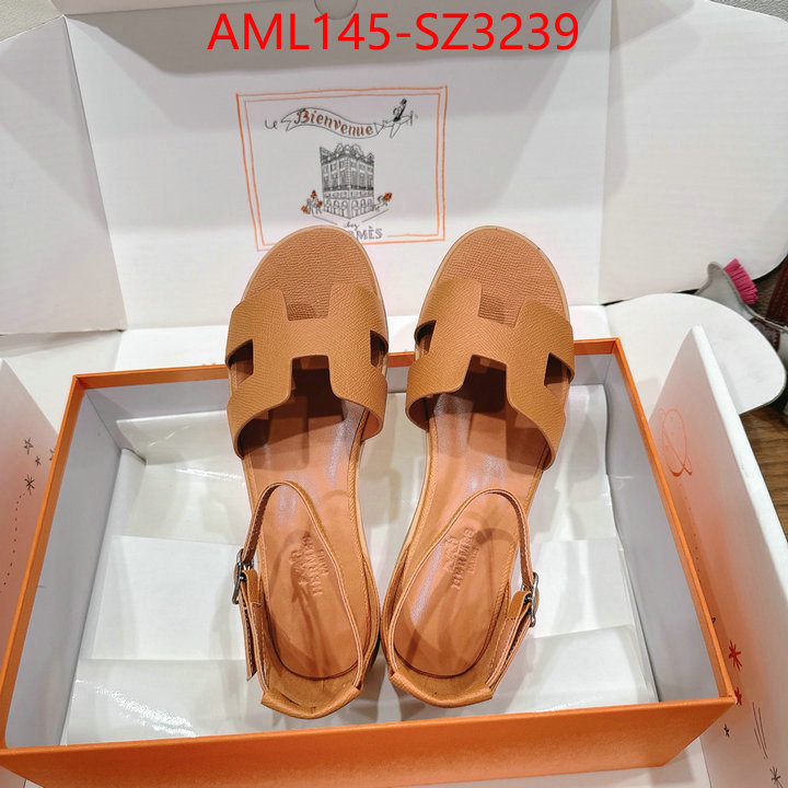 Women Shoes-Hermes what best designer replicas ID: SZ3239 $: 145USD