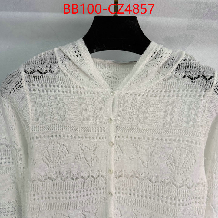 Clothing-Dior high quality online ID: CZ4857 $: 100USD